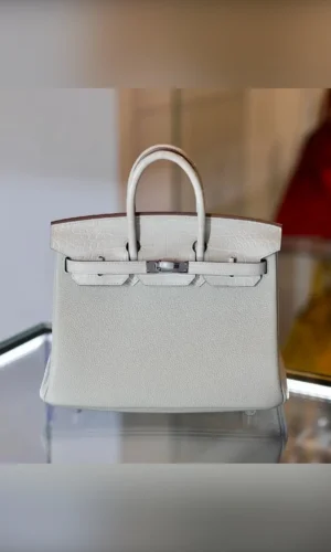 Birkin 25 Touch Togo Matte Crocodile