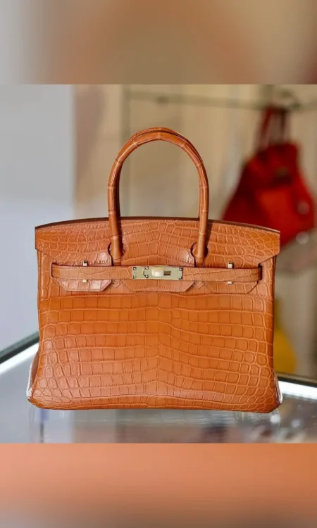 Birkin 30 Matte Brown Niloticus Crocodile