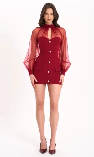 Tabitha Mesh Lantern Sleeve Mini Dress - Burgundy