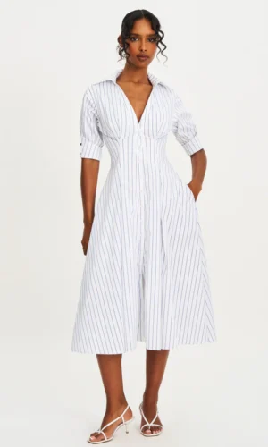 Palina Cotton Poplin Pleated Midi Preppy Shirt Dress - Blue pinstripes